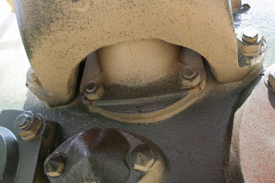 IMG_6153.JPG