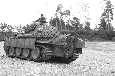 Original photo of your Panther Gerhard