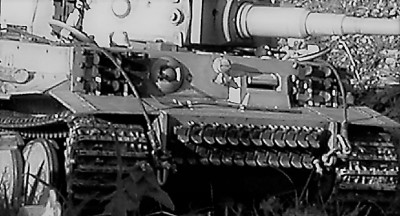 Tiger 1 black and white 006 (3).jpg