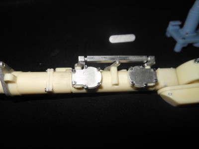 DSCN3096.JPG