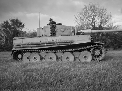 Tiger 1 black and white 016.jpg