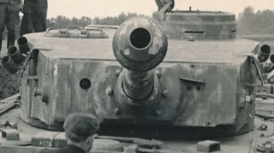 tiger1.jpg