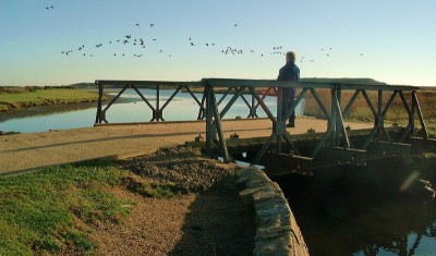 Christchurch,_Stanpit_Marsh_-_geograph_org_uk_-_1705320.jpg