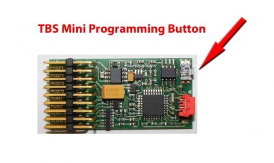 TBS Mini Programming Button.jpg