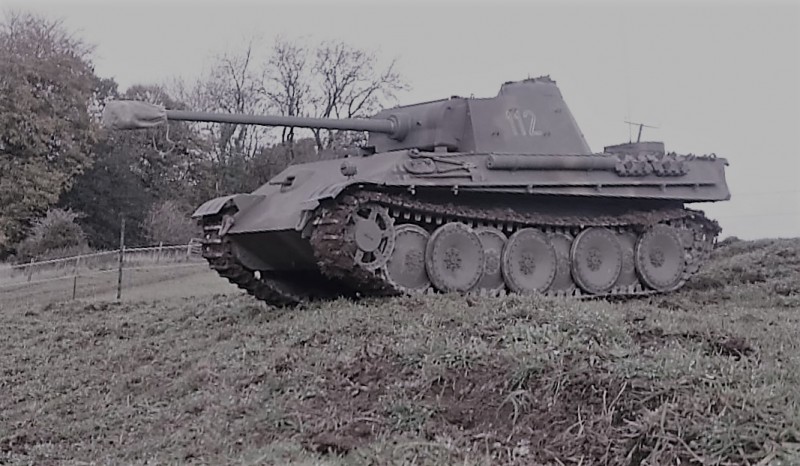 Panther 3.jpg