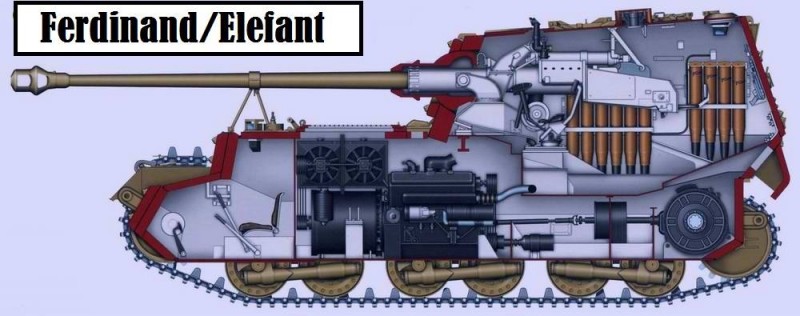 Ferdinand Elephant.jpg