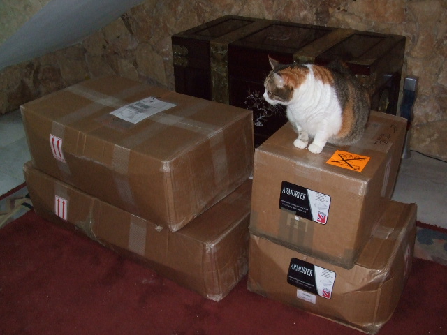 Tiger (the cat not the model) immediately taking possession of the boxes.