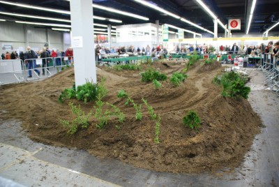 Model tank running area.