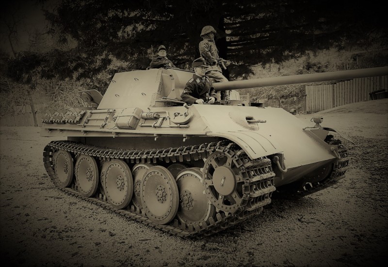 Panther.jpg