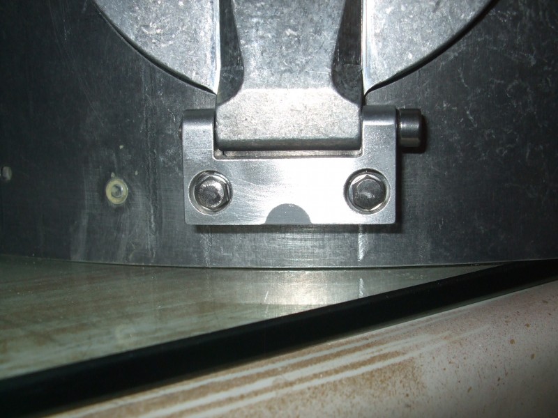 Tiger 523.JPG