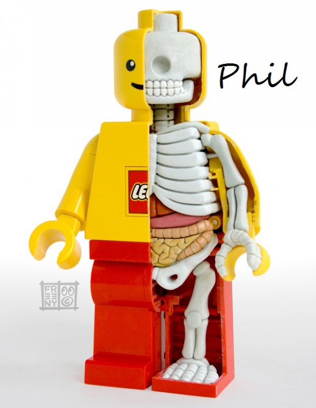 LEGO-Minifig-Anatomy.jpg