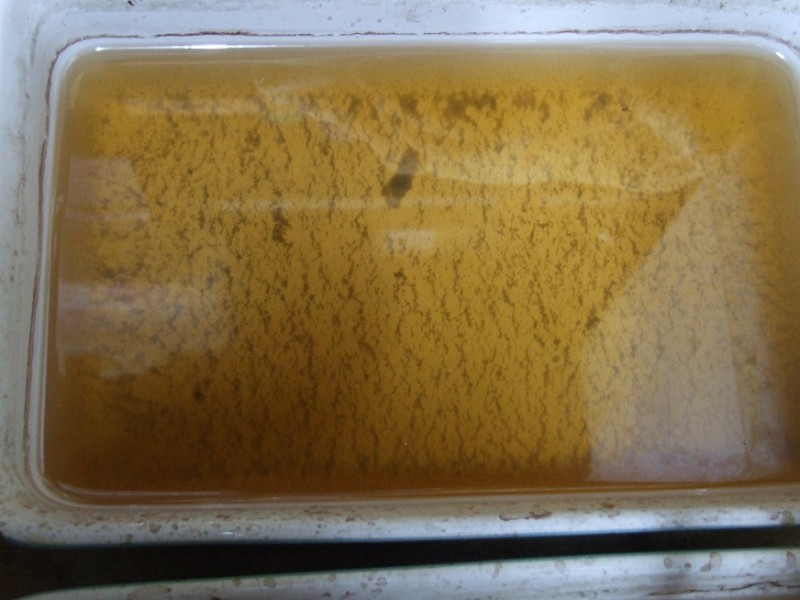 This is the colour of the vinegar after one batch of 10!