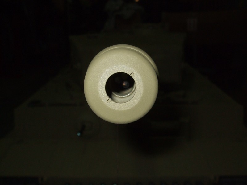 Tiger 668.JPG