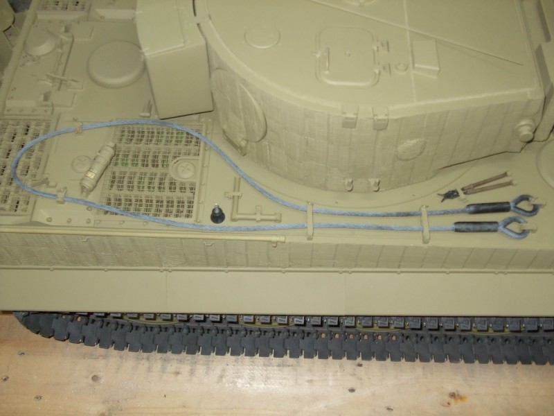 Tiger 677.JPG