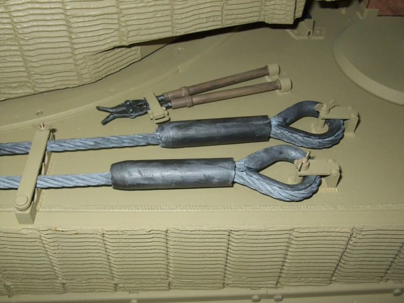 Tiger 678.JPG