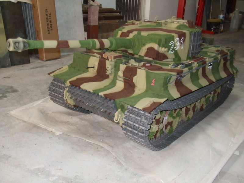 Tiger 704.JPG