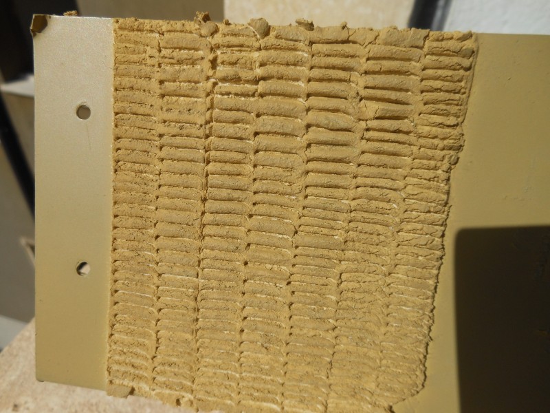 DSCN6168.JPG