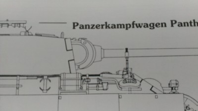 IMAG0233.jpg