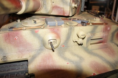 tiger camo 017.JPG