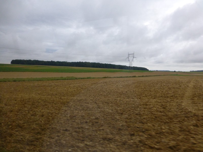 Looking towards Delville Wood.