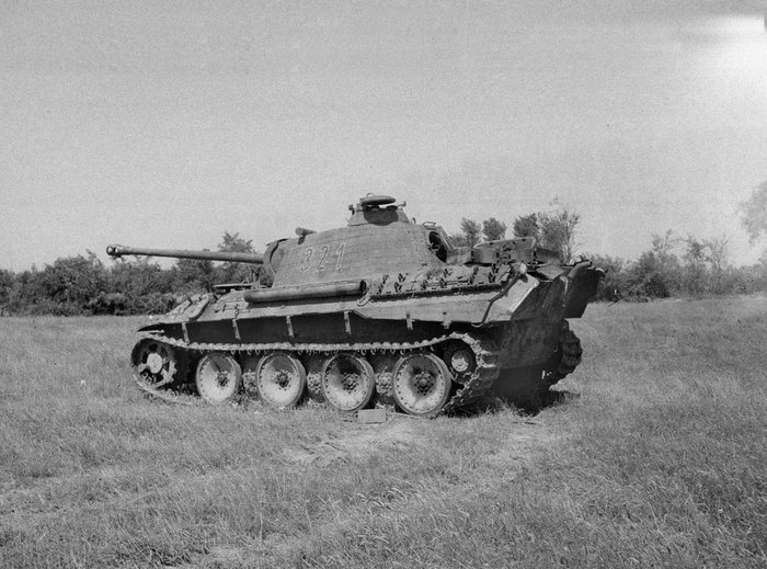 Panther 321  . .  (10),,.jpg