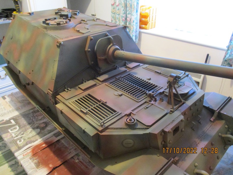Camo 2.JPG