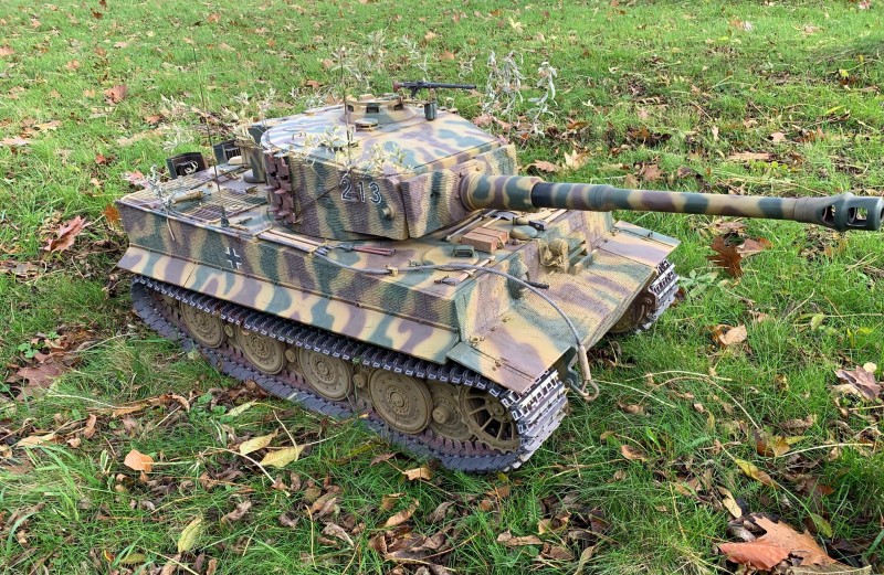 Tiger on very wet grass.