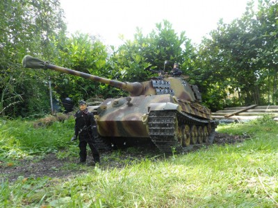Min King Tiger 033 (Medium).JPG