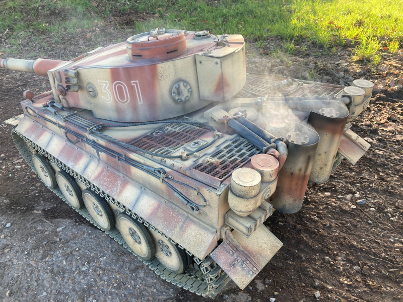 tiger15.jpg