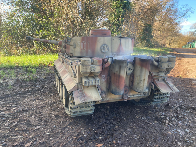 tiger13.jpg