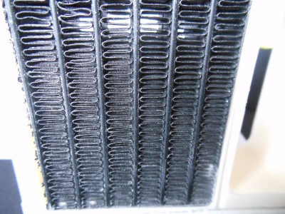 tigre mid 1-6 002.jpg
